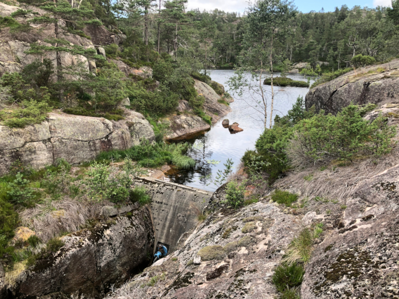 Bilde: Tjeneste dam